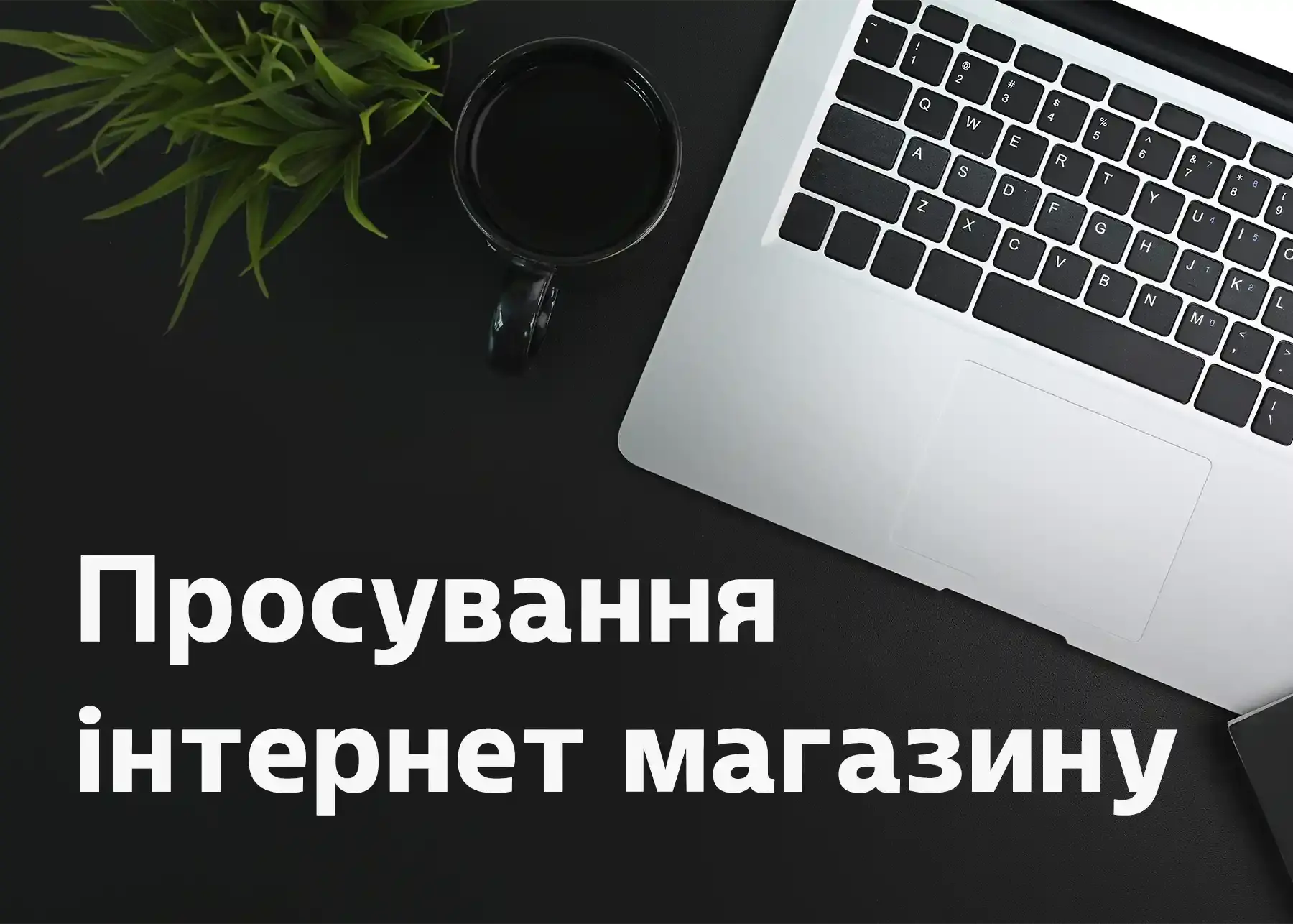 Просування інтернет магазину